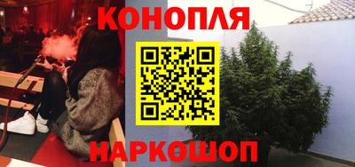 шишки Обнинск