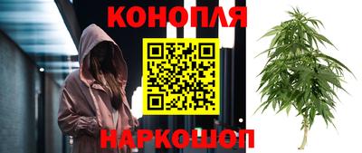 шишки Обнинск