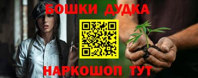 тгк Обь