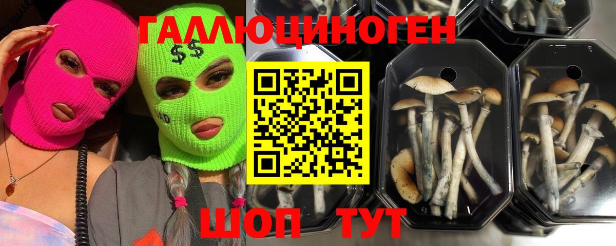 Галлюциногенные грибы ЛСД Татарск