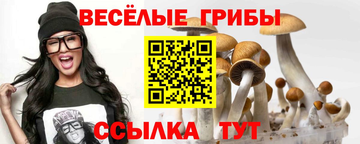 Галлюциногенные грибы Cubensis  Вход с VPN  Татарск 